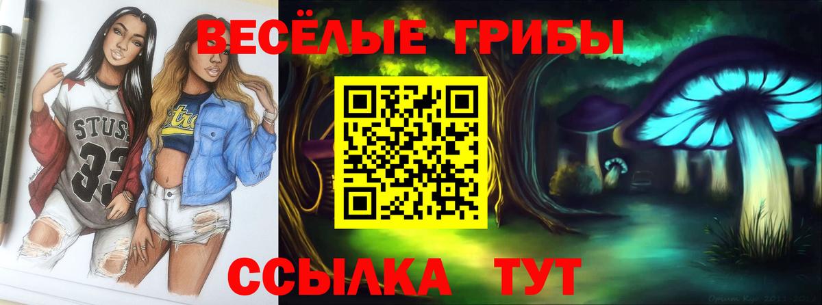 Ухта  Галлюциногенные грибы MAGIC MUSHROOMS  купить наркотики цена  Вход с VPN 